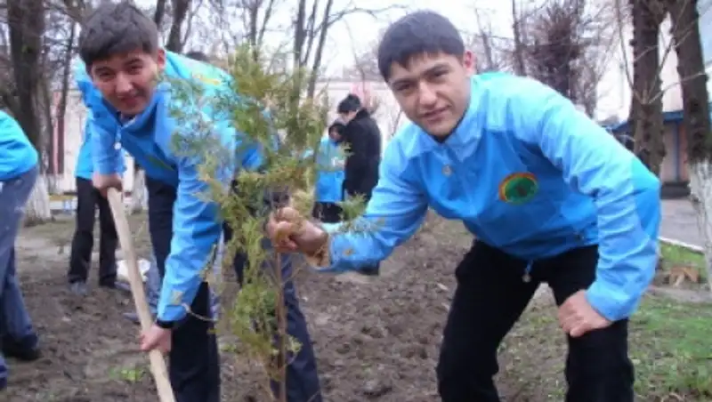 Программа «Жасыл ел» и ССО дали работу около тысячи молодых жамбылцев