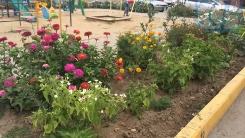 В Актобе проходит конкурс на лучший дом и лучший двор