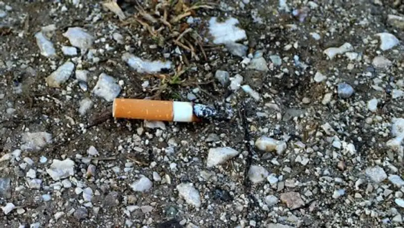 В Костанайской области мужчину арестовали из-за брошенного окурка