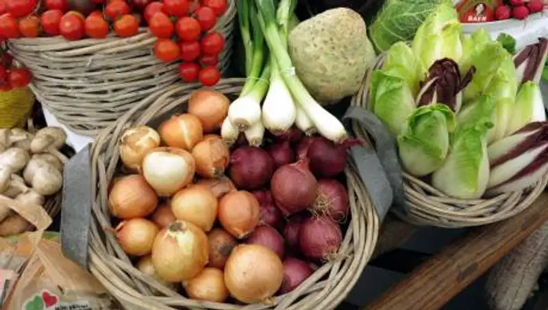 На сколько месяцев хватит продовольственных запасов в Казахстане