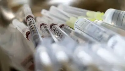 Pixabay, фото - Новости Zakon.kz от 18.08.2020 09:53