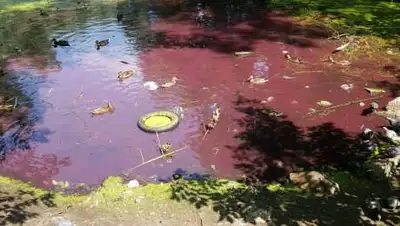 altaynews.kz, фото - Новости Zakon.kz от 13.07.2021 18:25