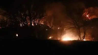 ДЧС Алматы, фото - Новости Zakon.kz от 08.11.2020 23:05