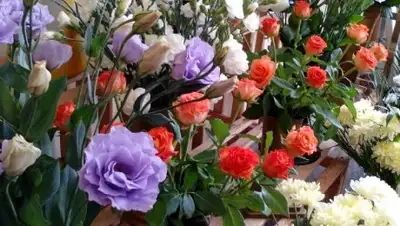 inform.kz, фото - Новости Zakon.kz от 23.02.2018 14:08