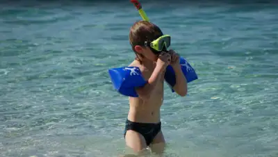 pixabay.com, фото - Новости Zakon.kz от 20.05.2020 12:01