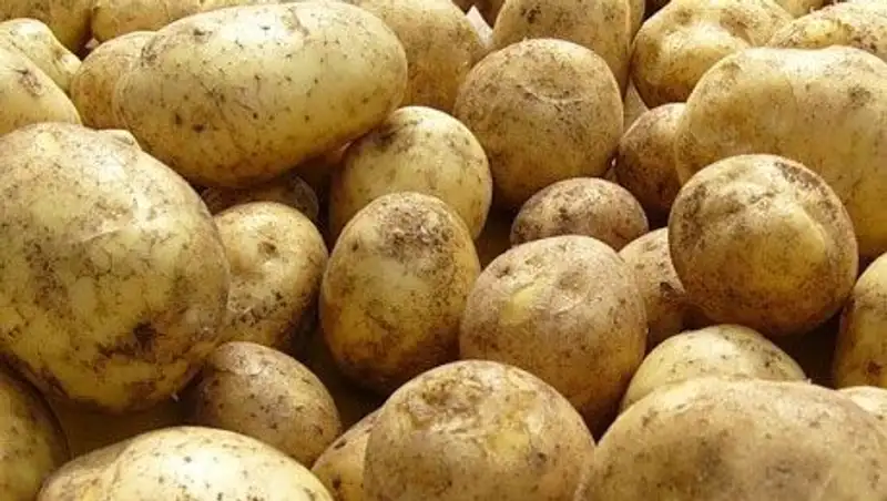 На актюбинских рынках в одни руки дают теперь не больше 4 килограммов картошки