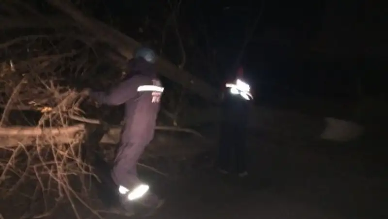 В Жамбылской области шквальный ветер принес разрушения