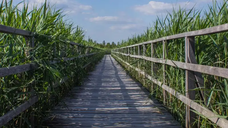 Видео с уплывающим мостом объяснили в акимате в СКО