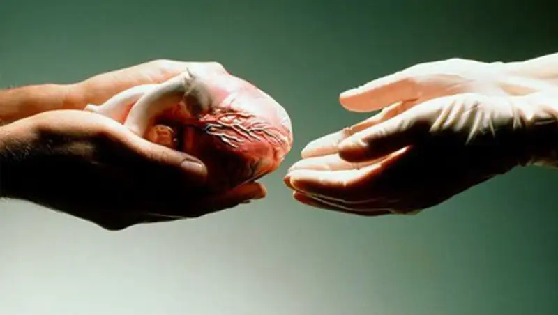 Жизненно-важные органы погибшего пациента из СКО спасли жизнь 4 больным