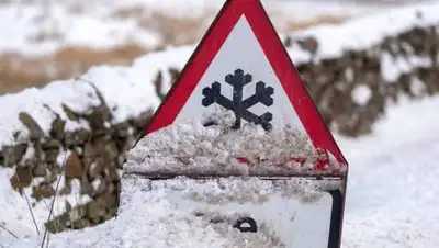 theguardian.com, фото - Новости Zakon.kz от 14.03.2021 20:32