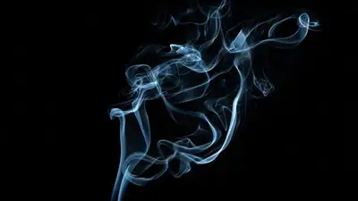 В Казахстан контрабандой ввезли два вагона табачных изделий на млрд тенге, фото - Новости Zakon.kz от 10.08.2023 09:57