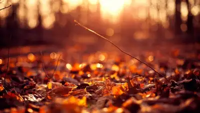 Zakon.kz, фото - Новости Zakon.kz от 25.09.2015 12:19