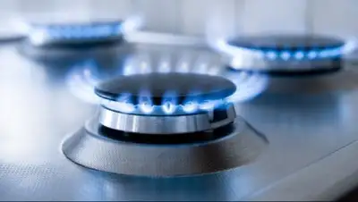 Zakon.kz, фото - Новости Zakon.kz от 27.04.2017 01:09