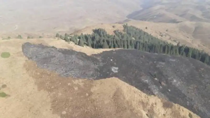 В Иле-Алатауском нацпарке тушат пожар