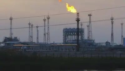 Zakon.kz, фото - Новости Zakon.kz от 17.02.2016 13:19