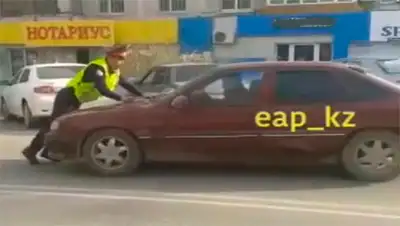 Zakon.kz, фото - Новости Zakon.kz от 30.03.2017 16:17