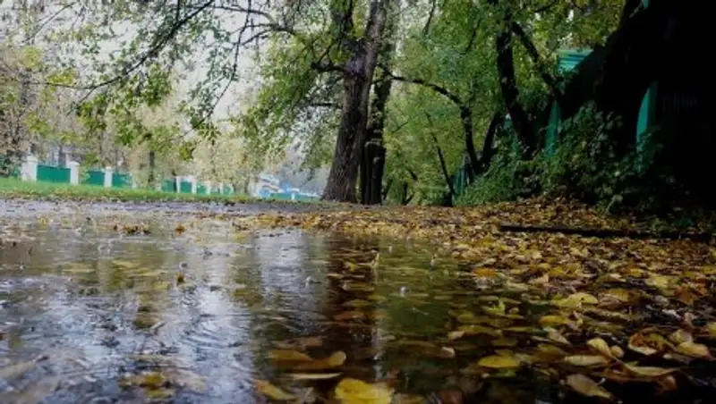 В пятницу на большей части территории Казахстана обещают дожди