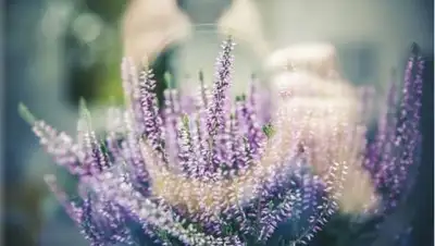 pixabay.com, фото - Новости Zakon.kz от 13.09.2021 10:11