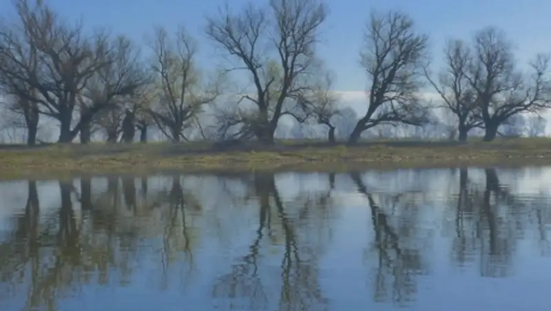 Двухлетний ребенок пропал возле реки в Акмолинской области 