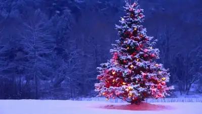 из открытых источников, фото - Новости Zakon.kz от 28.12.2018 12:25