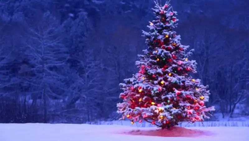 В новогоднюю ночь ожидаются морозы