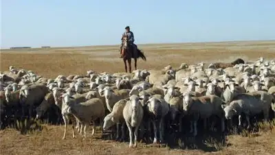 mgorod.kz, фото - Новости Zakon.kz от 20.04.2021 15:19