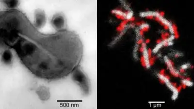 Zakon.kz, фото - Новости Zakon.kz от 27.06.2016 21:55