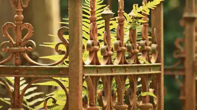 В Алматы охотники за цветметом разграбили могилы на Кенсайском кладбище, фото - Новости Zakon.kz от 19.04.2023 06:38