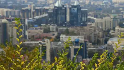 Войну застройщику объявили жители Алматы , фото - Новости Zakon.kz от 24.10.2023 06:55