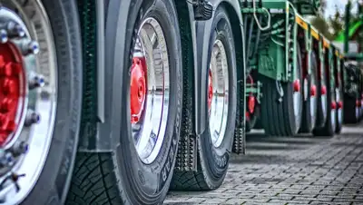 pixabay.com, фото - Новости Zakon.kz от 11.07.2019 00:00