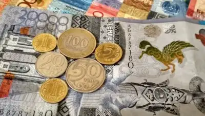 soz.kz, фото - Новости Zakon.kz от 15.08.2018 15:53