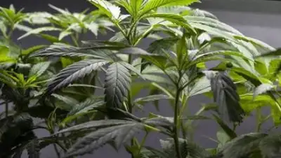 Zakon.kz, фото - Новости Zakon.kz от 16.07.2017 14:23