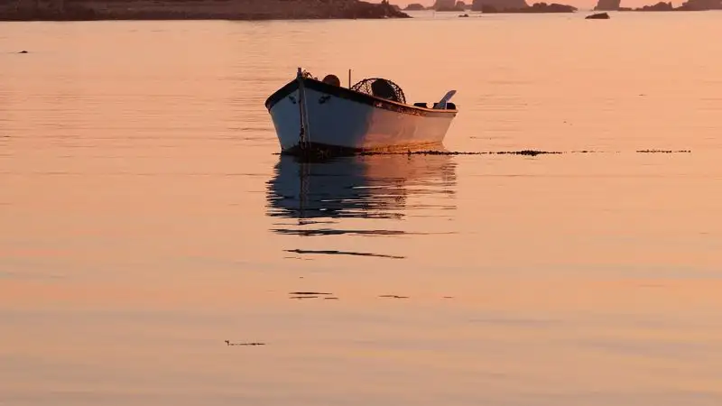 Полицейские на вертолете преследовали браконьера