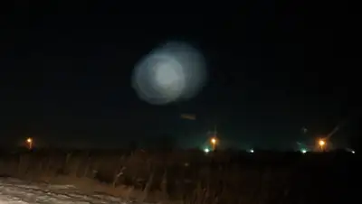 vk.com, фото - Новости Zakon.kz от 29.11.2019 07:07