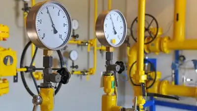 Zakon.kz, фото - Новости Zakon.kz от 06.06.2016 18:32