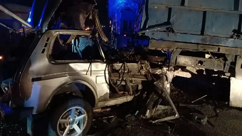 В Павлодарской области в ДТП на трассе погибли двое детей и один взрослый