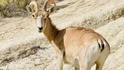 Инстаграм, фото - Новости Zakon.kz от 09.06.2021 16:28