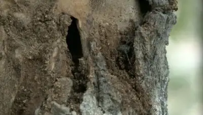 Zakon.kz, фото - Новости Zakon.kz от 22.08.2017 11:56