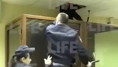 Скриншот видео, фото - Новости Zakon.kz от 11.12.2019 10:36