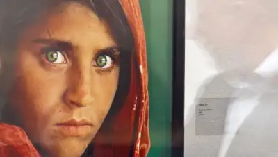 Zakon.kz, фото - Новости Zakon.kz от 31.10.2016 17:09