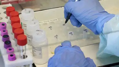 a-tv, фото - Новости Zakon.kz от 09.05.2020 14:24