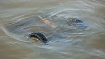 Zakon.kz, фото - Новости Zakon.kz от 04.06.2014 15:06