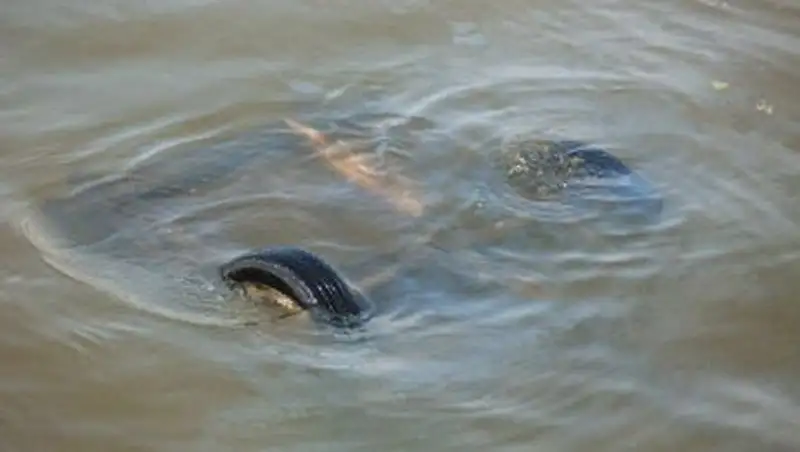 Автомобиль съехал в реку в Костанайской области, водитель утонул