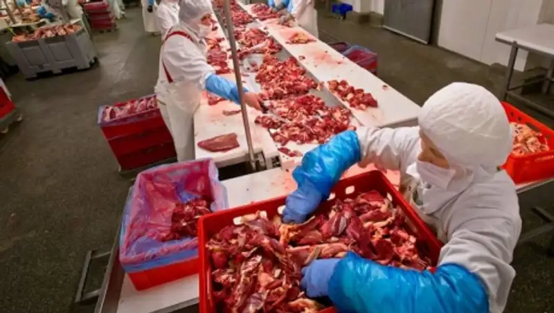 Қытай ҚР-ның ет саласына 5 жылда 200 млн жуық доллар инвестиция салмақшы