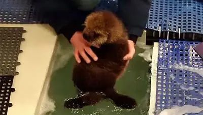 Zakon.kz, фото - Новости Zakon.kz от 12.11.2014 17:03