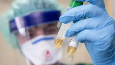 tass.ru, фото - Новости Zakon.kz от 08.06.2020 19:04