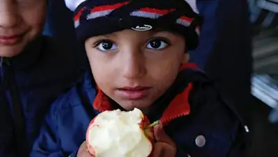 Zakon.kz, фото - Новости Zakon.kz от 23.06.2017 04:20