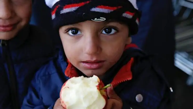 Исламская община Австрии критикует идею МИД закрыть мусульманские детсады