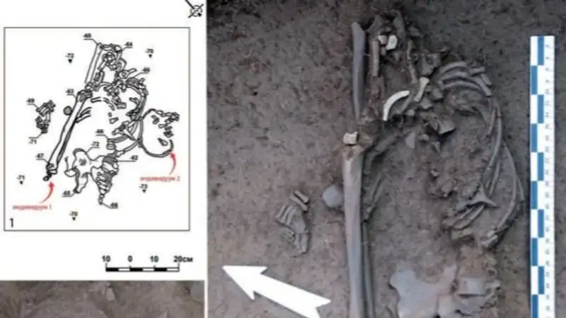 Погребение древнего человека в Абайской области, археологические раскопки, фото - Новости Zakon.kz от 15.11.2023 12:53