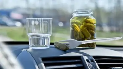 Zakon.kz, фото - Новости Zakon.kz от 10.07.2017 18:21